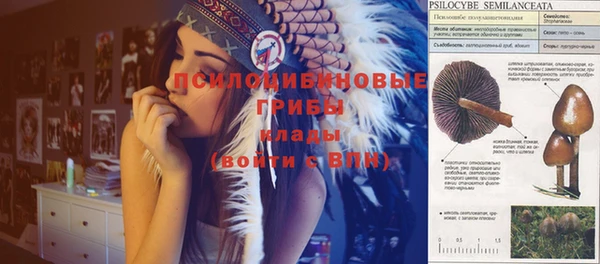 гидра Алексеевка