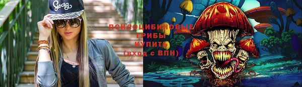 гидра Алексеевка