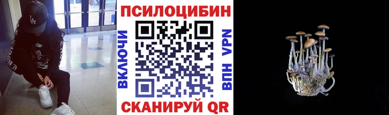 Галлюциногенные грибы Cubensis  Пласт 